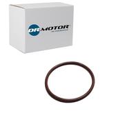 DR.MOTOR AUTOMOTIVE DRM0286 Joint d'étanchéité pompe à carburant joint Compatible avec VW Golf 7 3/5 portes 5G1, BQ1, BE1, BE2 Golf 5 3/5 portes 1K1 Golf 6 3/5 portes 5K1 Polo V 3/5 portes 6R1, 6C1