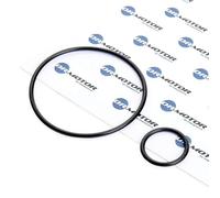 DR.MOTOR AUTOMOTIVE DRM116 Jeu de joints d'étanchéité collecteur d'admission