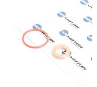 DR.MOTOR AUTOMOTIVE Kit de joints injecteur DRM009 pour GOLF VI (5K1)