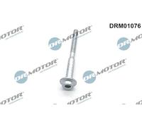 DR.MOTOR AUTOMOTIVE Vis (support d'injecteur) DRM01076