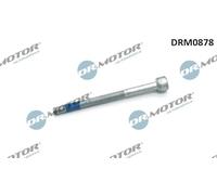 DR.MOTOR AUTOMOTIVE Vis (support d'injecteur) DRM0878