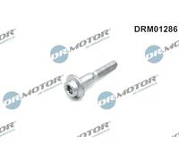 DR.MOTOR AUTOMOTIVE Vis support pour contrôleur d'injecteurs DRM01286