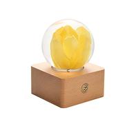 Dr. Pets Miss LI Garden Boule de Cristal de Tulipe Jaune pour Femme, Petite Amie, Femme, Anniversaire, fête des mères, Anniversaire, Saint-Valentin, décoration de la Maison (17e Tulipe Jaune)