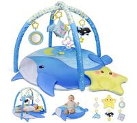 Dr.Rapeti Tapis d'éveil Bébé, Tapis Sensoriel de Jeu avec Arche, Jouets Amovibles, Miroir, Livre en Tissu, Oreiller Doux pour Bébé