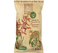 Dr.Soil substrat naturel pour orchidées Cymbidium et pseudobulbous en sachet de 1L