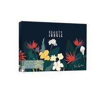 Dr. Spiller Beauty Jungle 4-Week Ampoule Treatment - 28 jours de cure d'acide hyaluronique, peptides et niacinamide - 4 phases (réinitialisation, hydratation, Beauty Sleep, Youth) - Sans parfum