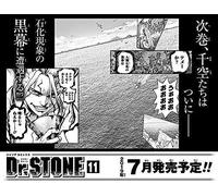 Dr.Stone 11 ()