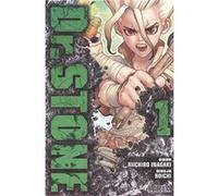 Dr.Stone Inagaki, Riichiro (Auteur)