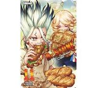 Riichirô Inagaki & Boichi – Dr. Stone – Tome 11 – Glénat