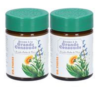 Dr. Theiss Baume à la Grande Consoude 2x100 ml