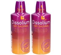 Dr. Theiss Dissolium 100 % Sauvage plantes foie reins Solution Orale 2x1000 ml