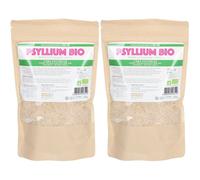 DR THEISS Psyllium Blond Poudre Pour La Préparation D'Une Solution 2x300 g