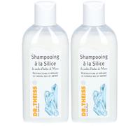 DR THEISS Shampoing à la Silice Shampooing 2x200 ml