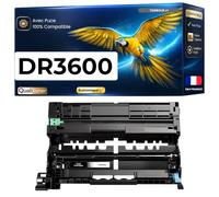 DR3600 Tambour Compatible pour Brother DCP-L5510DW HL-L5210DN HL-L6210DW MFC-L5710DN Noir Haute Capacité avec Puce 75000 Pages