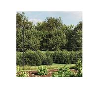 vidaXL Clôture en treillis métallique anthracite 2x10 m