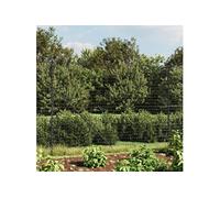 vidaXL Draadgaashek met flens 1,6x10 m antracietkleurig154292 G