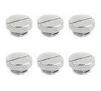 Dracaena 6 pack G1/4" thread, Thin water Stop Plug Fitting with Coin Slot for Computer water cooling System, durable brass/copper material, Silver