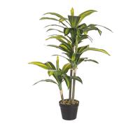 Dracaena Plant C-Pot 43Leaves H88Cm
