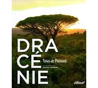 Dracénie: Terres de Provence