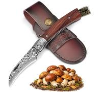DRACHENADER Couteau Champignon Damas avec Brosse Intégrée, Couteau à Champignon Pliant Forgé à la Main avec Liner Lock, Idéal pour la Cueillette des Champignons