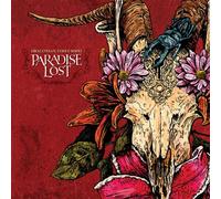 Draconian Times MMXI CD
