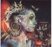 Draconian Times - Special Edition Collector's Box