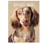 DRAEGER PARIS 1886 - Calendrier Mural Compact 2025 avec 12 Photos Thème Chiens - 14x18 cm - Sept 2024 à Déc 2025-7 Langues - Haute Qualité - Design Élégant - Organisation Quotidienne