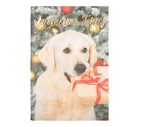 DRAEGER PARIS 1886 - Carte de Vœux Musicale Chien Joyeuses Fêtes - Noël & Nouvel An - Finitions Cuivre - 14,5 x 14,5 cm - Enveloppe Incluse - Papier durable - Made in England