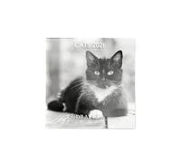DRAEGER PARIS 1886 - Grand Calendrier mural 28x29 cm 2026 - Thème Chats Noir Et Blanc - 12 mois - Papier FSC - Illustrations détachables