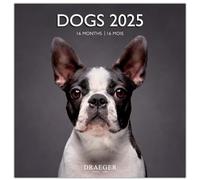 DRAEGER PARIS 1886 | Grand Calendrier Mural 29x29 cm 2025 | 7 Langues | Septembre 2024 - Décembre 2025 | Thèmes Variés : Chiens | 12 Photos | Papier FSC | Notez Rendez-vous & Anniversaires