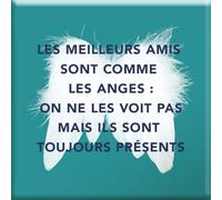 DRAEGER PARIS 1886 - Magnet Aimanté Décoratif 6,5 x 6,5 cm - Message Touchant Les Meilleurs Amis sont comme des Anges - Idéal pour Réfrigérateur et Bureau - Accessoire Tendresse et Gratitude