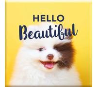 DRAEGER PARIS 1886 - Magnet Aimanté Décoratif - Design Hello Beautiful avec Petit Chien Craquant - Accessoire Mural pour Bureau, Cuisine et Maison - Dimensions 6,5 x 6,5cm