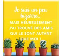 DRAEGER PARIS 1886 - Magnet Aimanté Humour - Je suis Un Peu Bizarre - Décoration Frigo - Cadeau Amitié Drôle - Message Sincère d'Acceptation - 6,5 x 6,5 cm