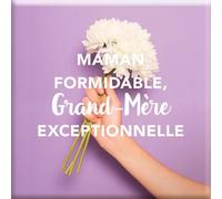 DRAEGER PARIS 1886 - Magnet Aimanté Maman Formidable, Grand-mère Exceptionnelle - Cadeau Décoratif Réfrigérateur - 6,5x6,5cm - Idéal Fête des Mères/Grands-mères - Message Touchant et Affectueux