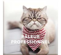 DRAEGER PARIS 1886 - Magnet Aimanté Râleur Professionnel - 6,5 x 6,5 cm - Accessoire Sarcastique - Déco Surface Ferromagnétique - Idée Cadeau Originale - Ajoute Personnalité et Humour