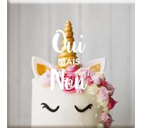 DRAEGER PARIS 1886 - Magnet Humour Oui mais Non - Aimant Décoratif Frigo - Accessoire Métallique Original - Cadeau Amusant et Paradoxal - Dimensions : 6,5 x 6,5cm - Décoration Intérieure Originale