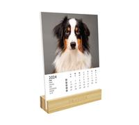 DRAEGER PARIS | Calendrier sur socle Chiens 2024 |12 x 16,5 cm | Année 2024 | 7 langues | Calendrier décoration bureau mensuel| Socle en bambou | Papier certifié FSC® | encres végétales