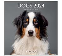 DRAEGER PARIS | Grand calendrier mural Chiens 2024 à suspendre 29x29cm |16 mois sept-23 à dec 24 | 7 langues | Calendrier bureau, maison, mensuel | Décoration, organisation | Papier certifié FSC®