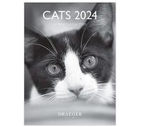 DRAEGER PARIS | Petit calendrier mural Chats noir et blanc 2024 à suspendre 14x18cm |16 mois sept 23 à dec 24 | 7 langues | Calendrier bureau, cuisine, maison mensuel | Papier certifié FSC®