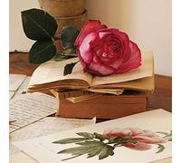Draeger Paris - Rose sur livres