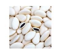 Dragées chocolat ivoire 1kg