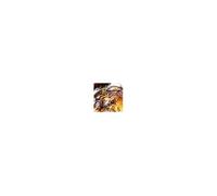 Sony Dragon Ball Fighterz, PlayStation 4 Standard Multilingue - Neuf
