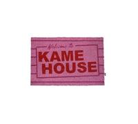 Dragon Ball - Paillasson Kame House 40 x 60 cm
