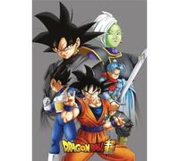 Dragon Ball Plaid Polaire DBZ - Tous Les Personnages - Gris,