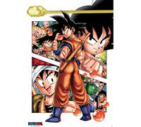 Dragon Ball - Poster - L'histoire de Son Goku