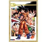 Dragon Ball - Poster - Son Goku Story + cadre interchangeable, Shinsuke® Maxi MDF hêtre, vitre acrylique