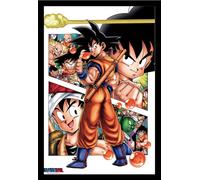 Dragon Ball - Poster - Son Goku Story + cadre interchangeable, Shinsuke® Maxi MDF noir, vitre acrylique