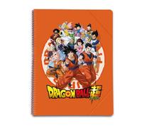 Grupo Erik Porte-vues Dragon Ball 60 vues – Format A4