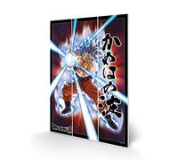 Dragon Ball Super - Impression sur Bois 20 x 29,5 cm (Mastered Ultra Instinct)