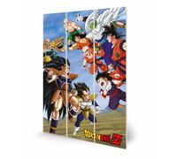 Dragon Ball Z - Battle Clash - Impression Sur Bois 20x29.5cm